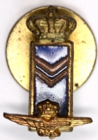 Italian Air Force WWII Service and Rank Lapel Pin - Sgt