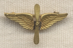 Early 1920's US Air Service (USAS) Instructor Cap Insignia by Robbins