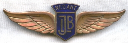 Rare Ca. 1960 Wing Badge of the Dutch Antilles Branch of the Dutch Youth Aviation Brigade.