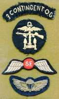 Fabulous WWII Grouping of OSS Insignia (3rd COG, UK SAS), All From One OSS Vet!