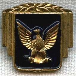 BEING RESEARCHED - Eagle Pin with Black Painted Details - NOT FOR SALE UNTIL IDed