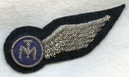 BEING RESEARCHED Bullion "TM" Half Wing, Possibly for European Airline NOT FOR SALE UNTIL IDed