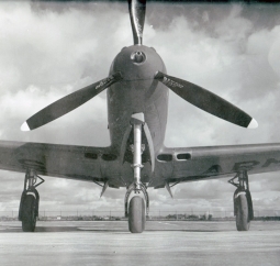 Huge, Fabulous WWII Period US Air Corps P-39 Air Cobra Photo